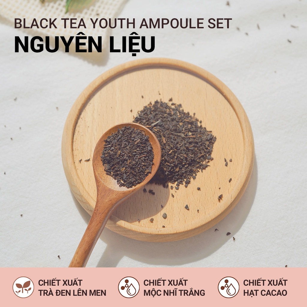 Bộ phục hồi da chuyên sâu và ngăn ngừa lão hóa trà đen innisfree Black Tea Youth Ampoule Set