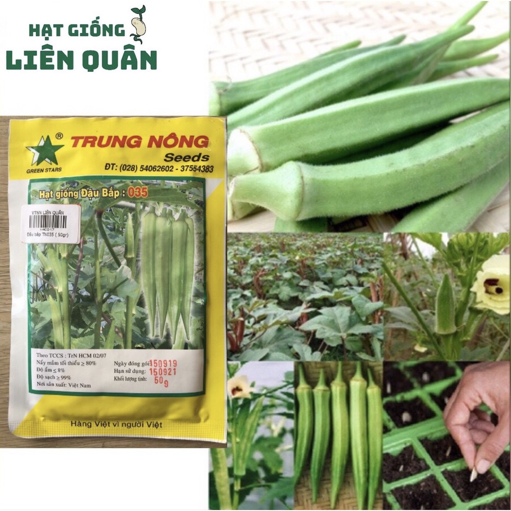 Hạt Giống Đậu Bắp 035 -50 gr ( Trung Nông ) **