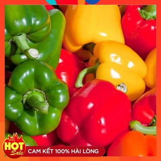 Hạ giống ớt chuông ngọt nhiều mầu gói 10 hạt