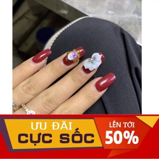 Hoa cúc nhọn - Hoa bột nail