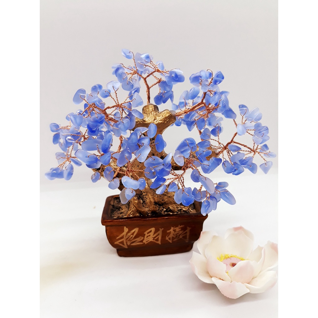 💥 GIÁ CỰC RẺ 💥 Cây đá phong thuỷ Ngũ Sắc