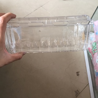 Combo 10 hộp nhựa đựng quả 1,2kg