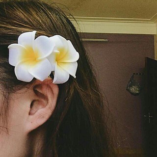 Kẹp tóc Hoa Đại