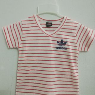 Combo 4 áo cotton 4c