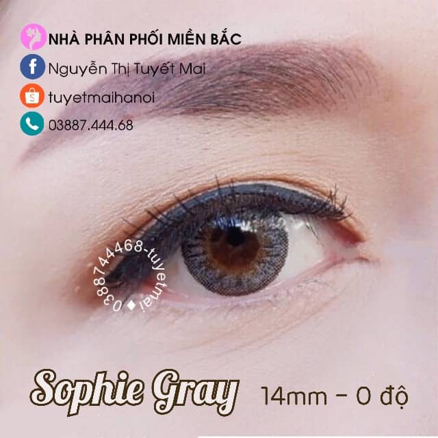 Kính Áp Tròng Màu Xám Nổi Bật Siêu Êm Siêu Mềm Sophie Gray 14mm 0 Độ - Lens Hàn Quốc Chính Hãng Vassen Sexy Me