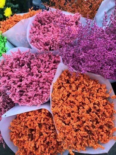Hoa sao thơm