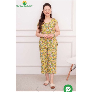 Bộ lanh lửng việt thắng