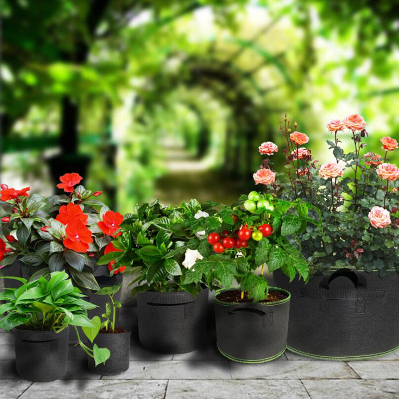 5 Túi Vải Trồng Cây 3gal 5gal 10gal