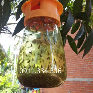 Bẫy Ruồi Vàng - Combo 5 bộ bẫy