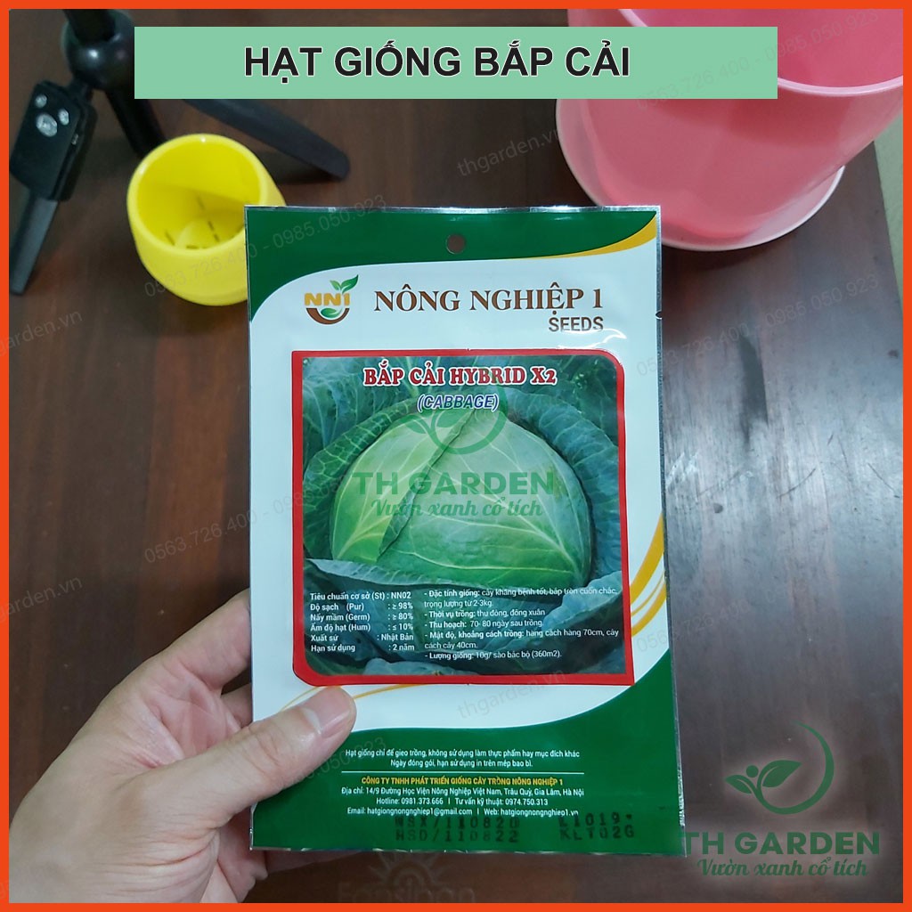 Hạt Giống Bắp Cải Hybird 2gr - Cải Bắp Xanh - Bắp Tròn, Cuốn Chắc