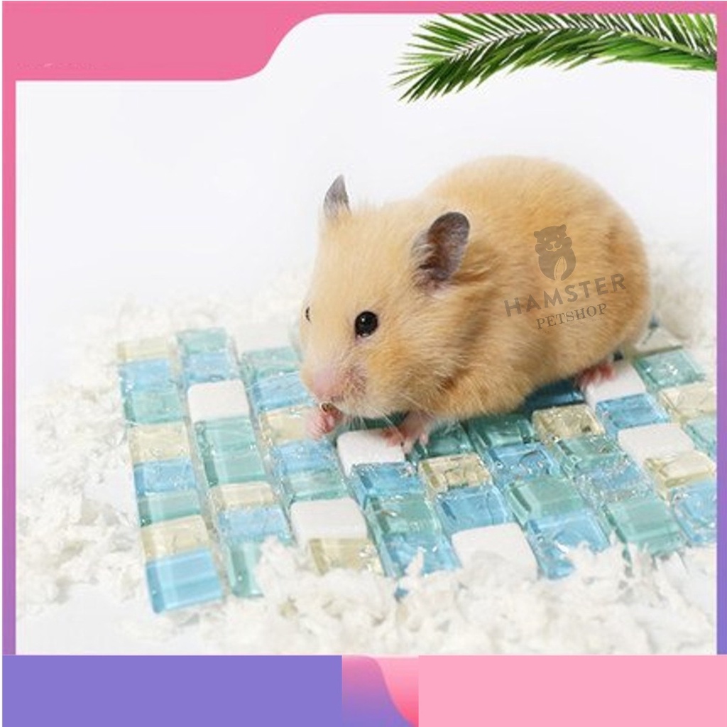 Đá làm mát, tản nhiệt mùa hè cho bé hamster , gunie pig