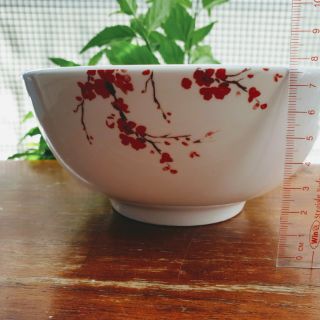 Bộ 2 Tô sứ trắng hình hoa đào 17cm
