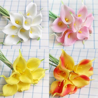Hoa Giả - Hoa Rum Calla Lily Nam Phi