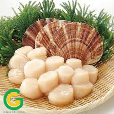 Cồi sò điệp Việt - nướng, áp chảo, nấu súp, xào siêu ngon 500gr