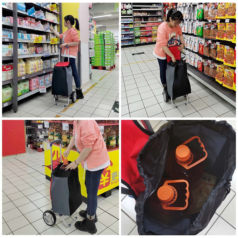 Xe đi siêu thị, đi chợ có túi mẫu mới siêu đẹp 2021 - DC22