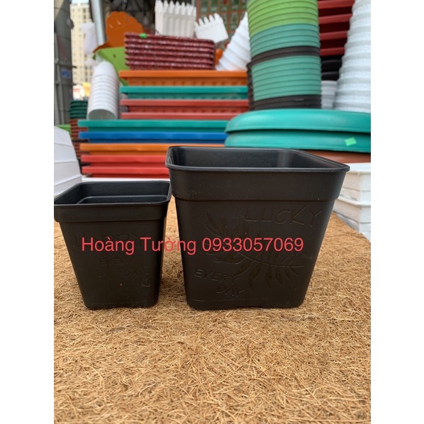 Chậu vuông 7cm, 10cm trồng sen đá, cây kiểng nhỏ