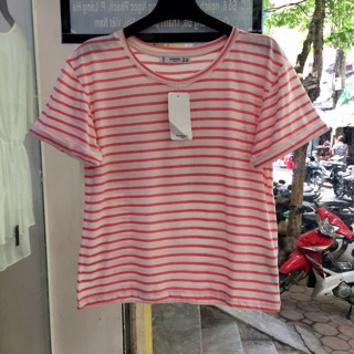 Áo thun thời trang 100% cotton