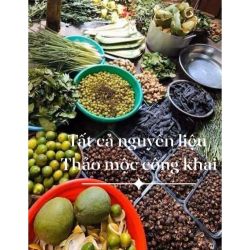 100 hạt giống 🌱bồ hòn