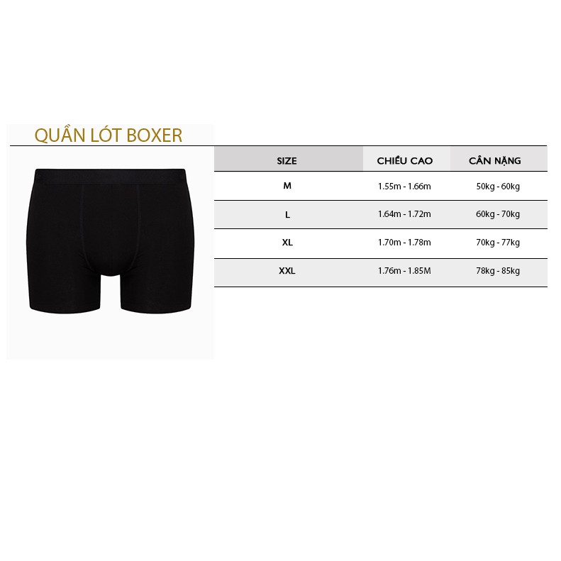 Combo 4 quần lót nam Brief Bamboo tự nhiên 100% thoáng khí,co giãn cao cấp, kháng khuẩn cực tốt - PALAMO