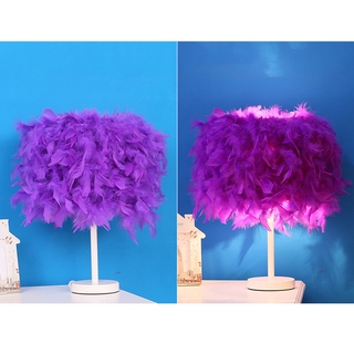 Table lamp / Night light with lovely feathers, 220V, ON / OFF