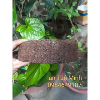 { GIÁ TẬN GỐC }  CHẬU DỚN TRỒNG LAN (DỚN ĐĨA).