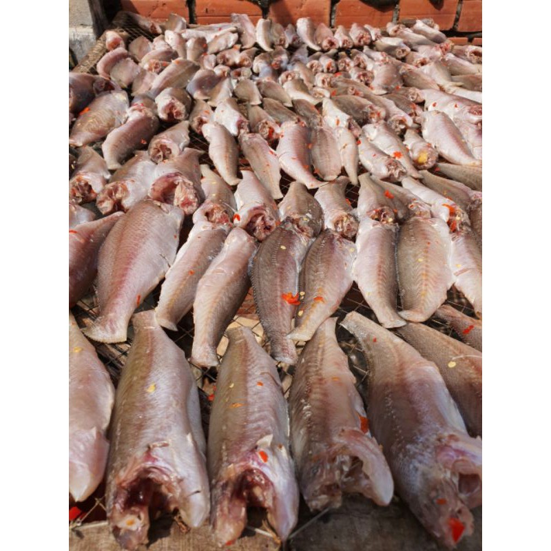 Khô Cá Lù Đù Lớn 1kg ( vị mặn) | BigBuy360 - bigbuy360.vn