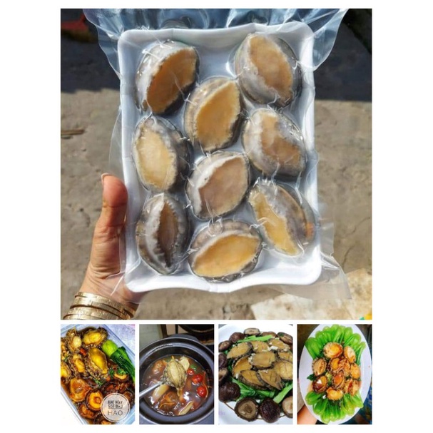 BÀO NGƯ  🦪khay 500g 10 con.