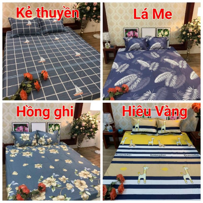 Bộ Ga Giường và Vỏ Gối Cotton 100%. Ga chun và 2 Vỏ gối