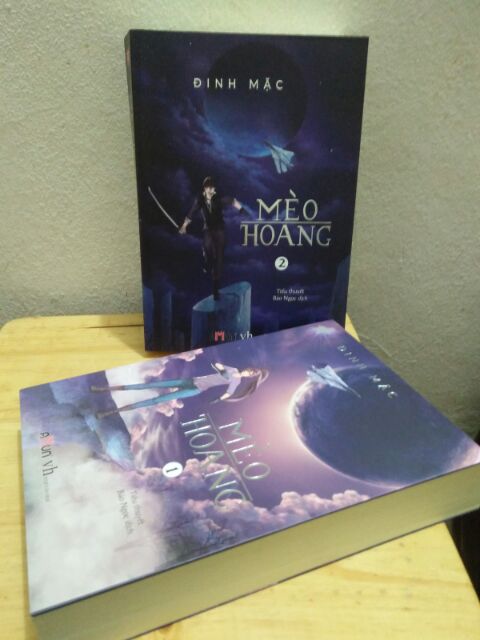 Sách - Mèo hoang - Đinh Mặc