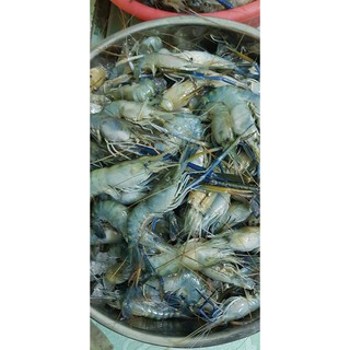 Bánh Phồng Tôm Càng Xanh
