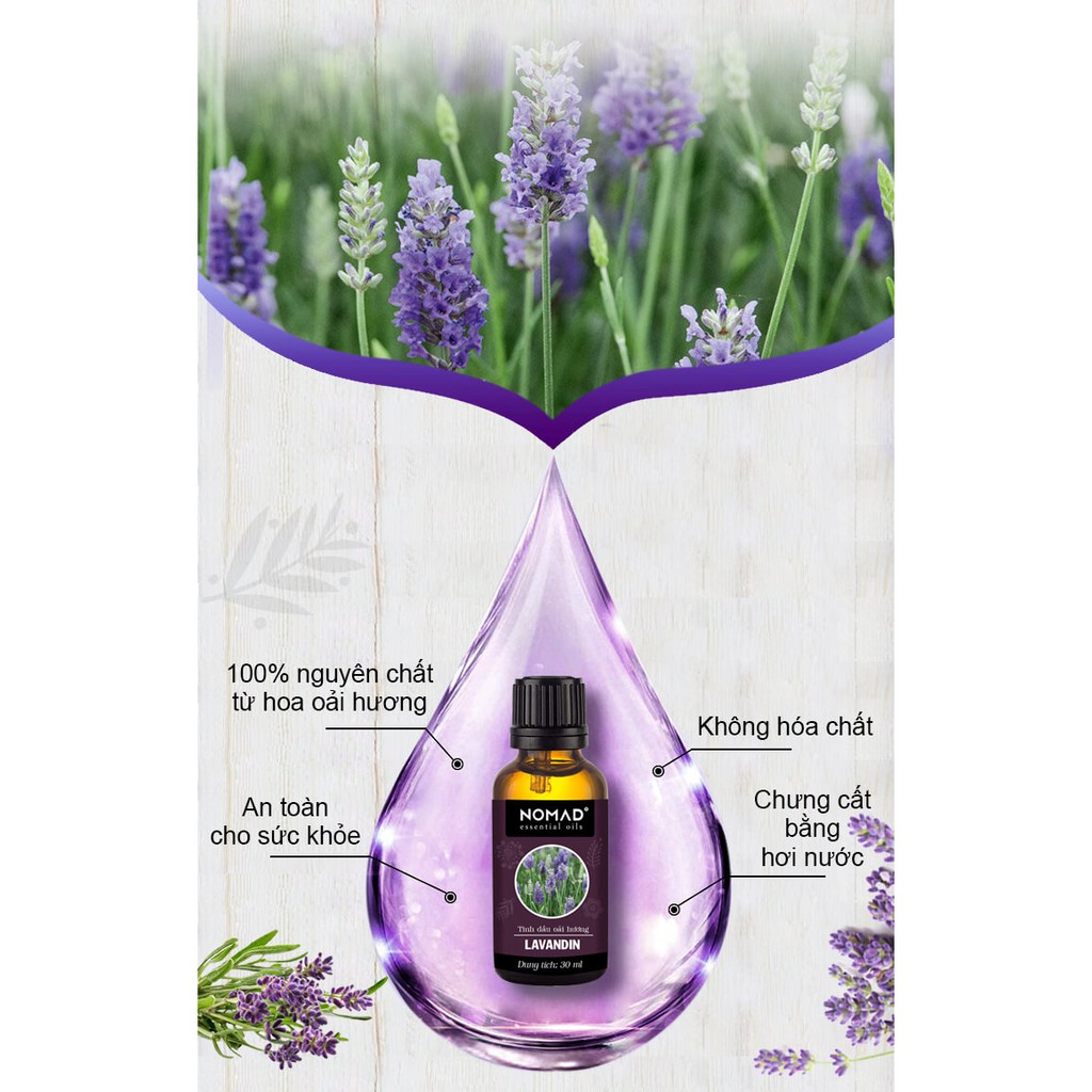 Tinh Dầu Oải Hương Pháp Nguyên Chất Cao Cấp Nomad Lavandin Essential Oil