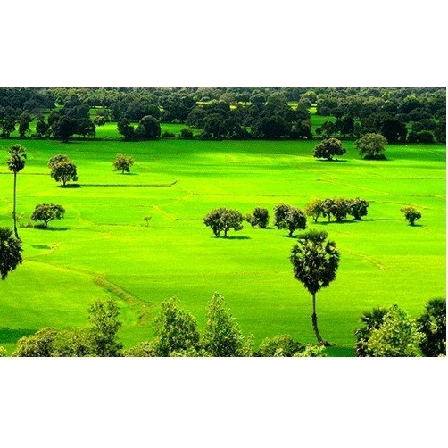 Memo B - Bổ não cho bé nhanh nói - thông minh - tập trung học tập