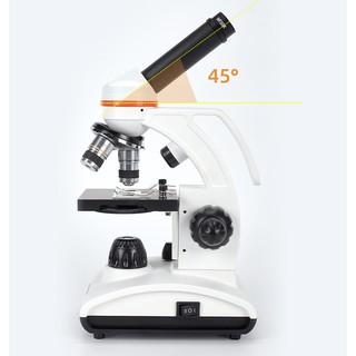 Kính hiển vi quang học Celestron ST40