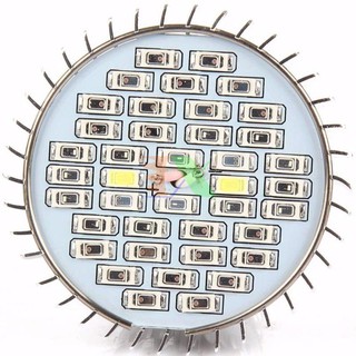 Led trồng cây 30W
