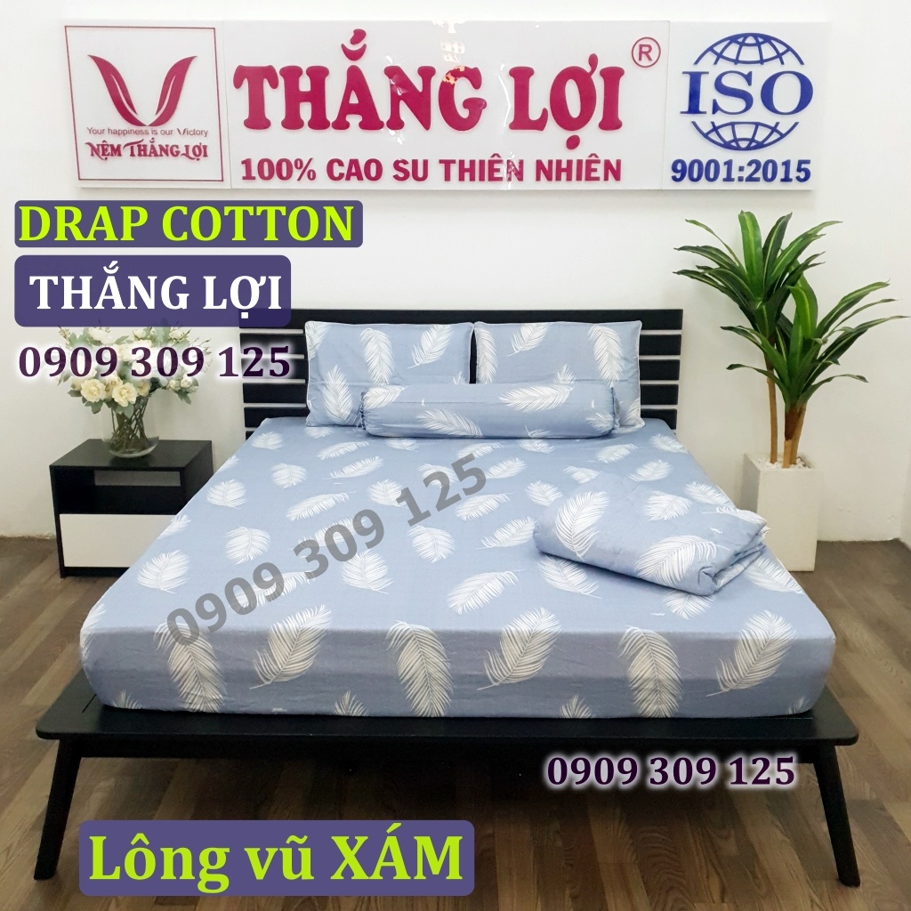 Drap Thắng lợi cotton 100% NỆM CAO chuẩn LOGO | BigBuy360 - bigbuy360.vn