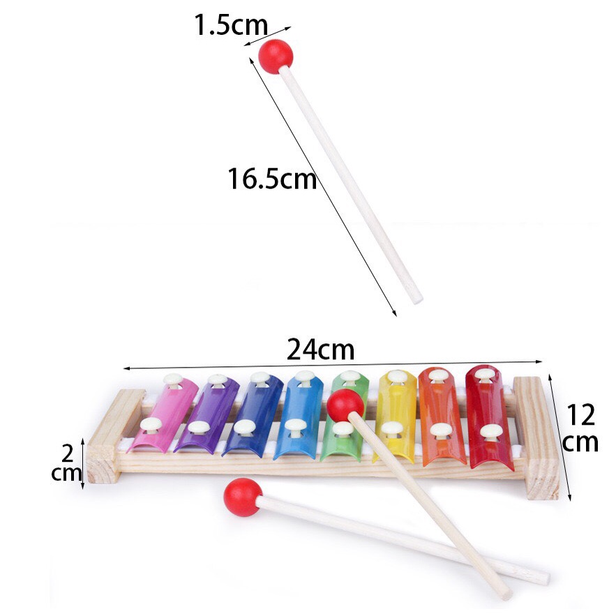 Đàn gỗ 8 âm nhiều màu sắc