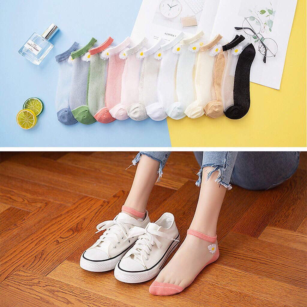 Tất nữ hoa cúc họa mi hot trend