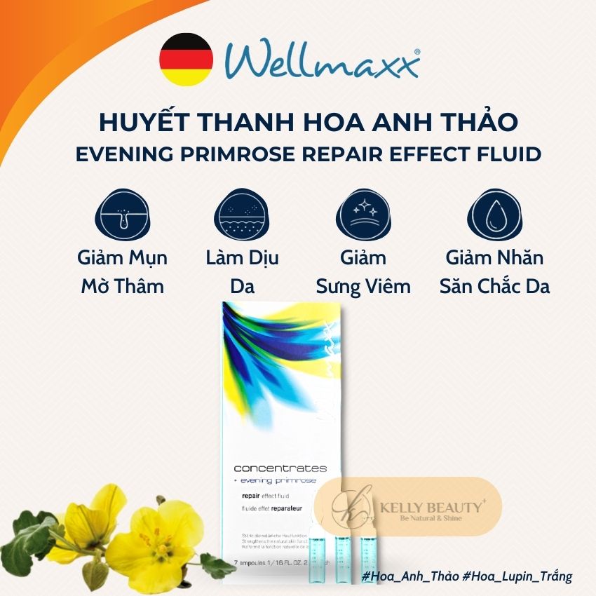 Huyết Thanh Hoa Anh Thảo WELLMAXX - Giảm Sưng Viêm, Ngừa Mụn; Kiềm Dầu, Mờ Thâm Mụn, Sáng Da | Kelly Beauty