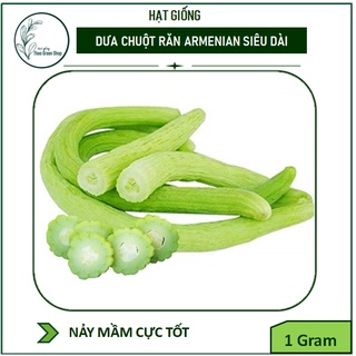 Hạt Giống Dưa Chuột Rắn Armenian Siêu Dài