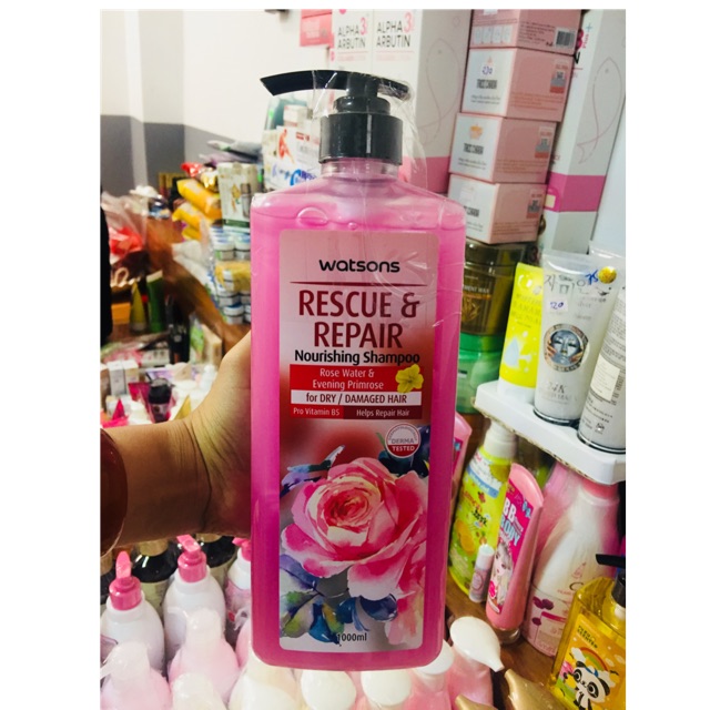 Dầu gội xả Watson