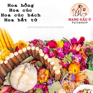 Hoa hồng, hoa cúc, thảo dươc sấy cho hamster