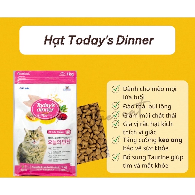 Hạt Cho Mèo Today Dinner Túi 1kg Nguyên Seal - Hạt Today's Dinner | Tpetshop