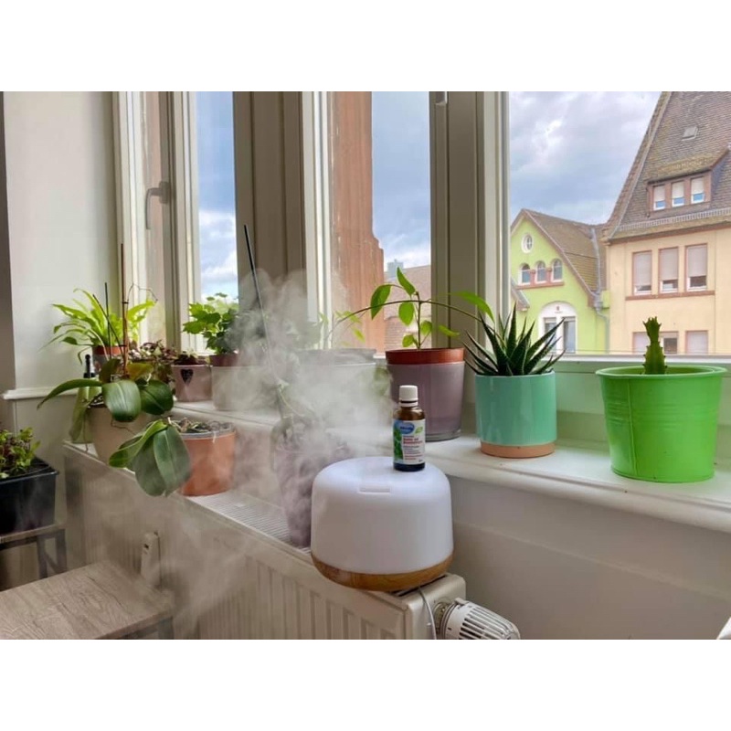 Tinh dầu bạc hà Mivolis Japanisches Heilpflanzenol, chai 30ml