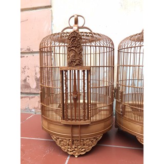 LỒNG HOẠ MI ĐẸP TÍCH MAI VÀNG