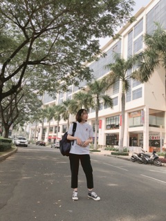 Cherry Basic