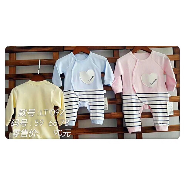 Body voi kẻ