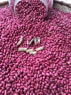 MUỐI VỪNG ĐEN KETO CHẤM RAU CỦ 500g
