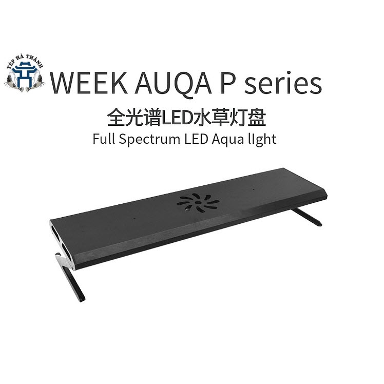 Đèn Led Cao Cấp WRGB Week P Series P600, P900, P1200