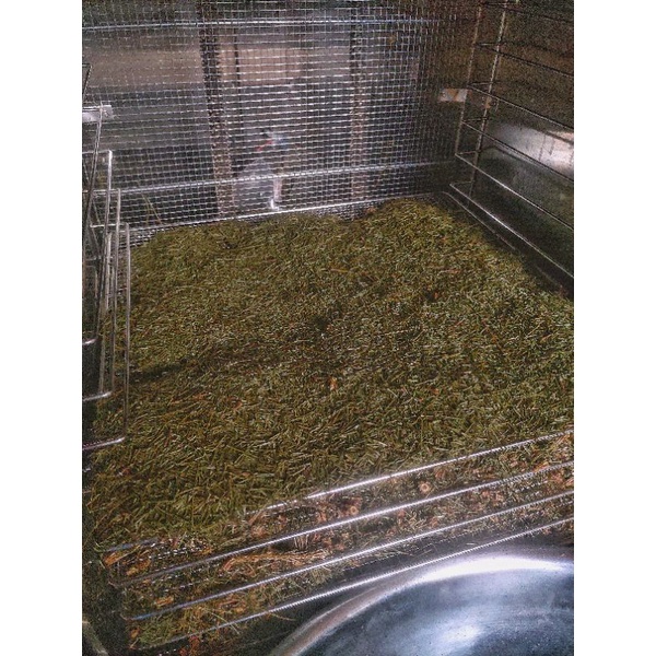 Trà lá thông kim 2 lá 500g đẹp da, thanh lọc kim loại cơ thể