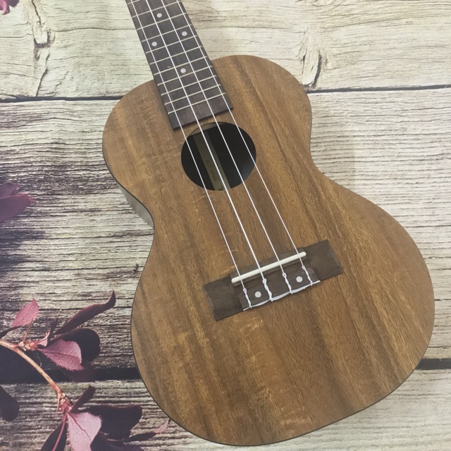 (ĐỘC) ĐÀN UKULELE CONCERT ENYA CẦN CLASSIC